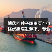博落回种子哪里买？价格优惠高发芽率，专业种植指导保障（图2）