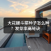 大花耧斗菜种子怎么种？发芽率高秘诀（图1）
