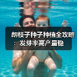 胡枝子种子种植全攻略：发芽率高产量稳（图1）