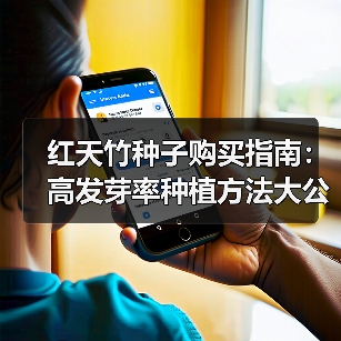 红天竹种子购买指南：高发芽率种植方法大公开！（图1）