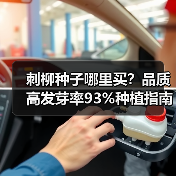 刺柳种子哪里买？品质高发芽率93%种植指南（图1）