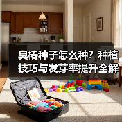 臭椿种子怎么种？种植技巧与发芽率提升全解析（图3）