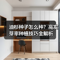 油杉种子怎么种?高发芽率种植技巧全解析(图2) 油杉种子怎么种?高发芽率种植技巧全解析(图2)