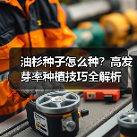 油杉种子怎么种?高发芽率种植技巧全解析(图3) 油杉种子怎么种?高发芽率种植技巧全解析(图3)