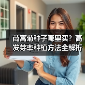 茼蒿菊种子哪里买？高发芽率种植方法全解析（图2）
