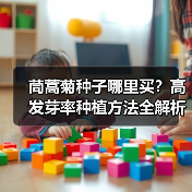 茼蒿菊种子哪里买？高发芽率种植方法全解析（图1）