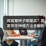 茼蒿菊种子哪里买？高发芽率种植方法全解析（图3）