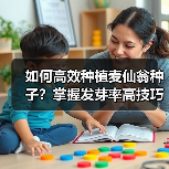 如何高效种植麦仙翁种子？掌握发芽率高技巧（图2）