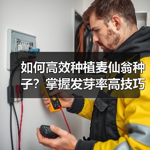 如何高效种植麦仙翁种子？掌握发芽率高技巧（图4）