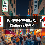 构骨种子种植技巧，如何提高发芽率？（图4）