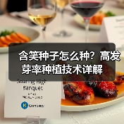 含笑种子怎么种？高发芽率种植技术详解（图1）