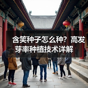 含笑种子怎么种?高发芽率种植技术详解(图2) 含笑种子怎么种?高发芽率种植技术详解(图2)