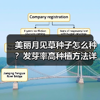 美丽月见草种子怎么种?发芽率高种植方法详解(图3) 美丽月见草种子怎么种?发芽率高种植方法详解(图3)