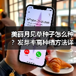 美丽月见草种子怎么种?发芽率高种植方法详解(图4) 美丽月见草种子怎么种?发芽率高种植方法详解(图4)