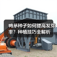 鸭茅种子如何提高发芽率？种植技巧全解析（图3）