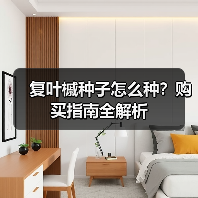 复叶槭种子怎么种?购买指南全解析(图3) 复叶槭种子怎么种?购买指南全解析(图3)