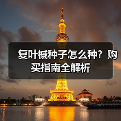复叶槭种子怎么种？购买指南全解析（图4）
