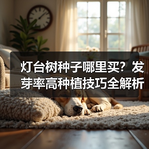 灯台树种子哪里买?发芽率高种植技巧全解析(图1) 灯台树种子哪里买?发芽率高种植技巧全解析(图1)