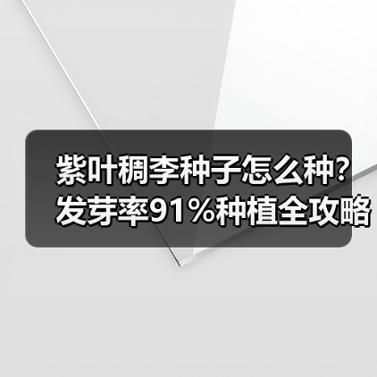 紫叶稠李种子怎么种？发芽率91%种植全攻略（图4）