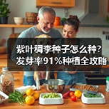 紫叶稠李种子怎么种？发芽率91%种植全攻略（图3）