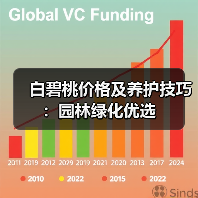 白碧桃价格及养护技巧：园林绿化优选（图2）