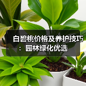 白碧桃价格及养护技巧：园林绿化优选（图3）