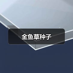 金鱼草种子（图1）