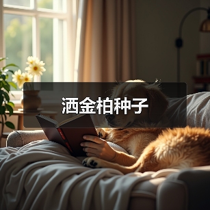 洒金柏种子（图4）