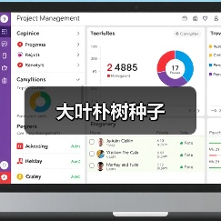 大叶朴树种子（图1）