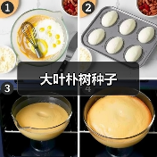大叶朴树种子(图3) 大叶朴树种子(图3)