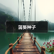 蒲葵种子（图3）