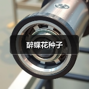 醉蝶花种子（图1）