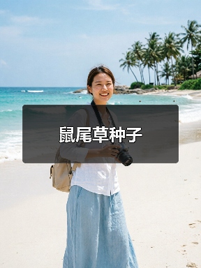 鼠尾草种子（图1）