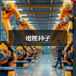橄榄种子（图2）