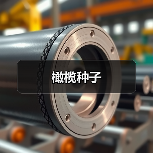 橄榄种子（图3）