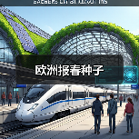 欧洲报春种子（图3）