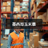 墨西哥玉米草（图4）