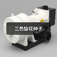 三色旋花种子（图2）