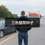 三色旋花种子（图1）