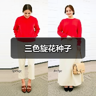 三色旋花种子（图3）