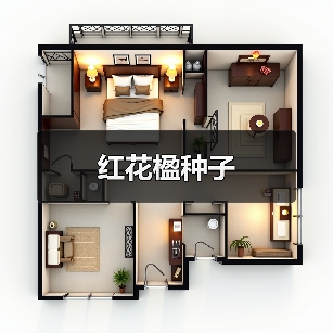 红花楹种子（图3）