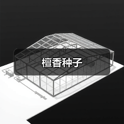 檀香种子（图1）