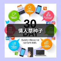 情人草种子(图4) 情人草种子(图4)