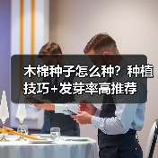 木棉种子怎么种?种植技巧+发芽率高推荐(图1) 木棉种子怎么种?种植技巧+发芽率高推荐(图1)
