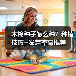 木棉种子怎么种?种植技巧+发芽率高推荐(图3) 木棉种子怎么种?种植技巧+发芽率高推荐(图3)