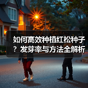 如何高效种植红松种子？发芽率与方法全解析（图2）