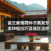 留兰香薄荷种子高发芽率种植技巧及地区选择（图2）