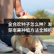 金合欢种子怎么种？发芽率高种植方法全解析（图2）