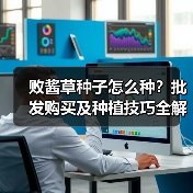 败酱草种子怎么种?批发购买及种植技巧全解析(图2) 败酱草种子怎么种?批发购买及种植技巧全解析(图2)