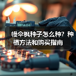 幔伞枫种子怎么种?种植方法和购买指南(图1) 幔伞枫种子怎么种?种植方法和购买指南(图1)